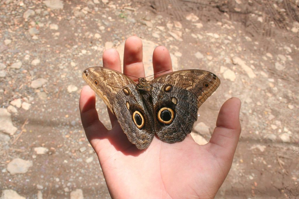 GUACHIPELIN FULL ADVENTURE COMBO TOUR