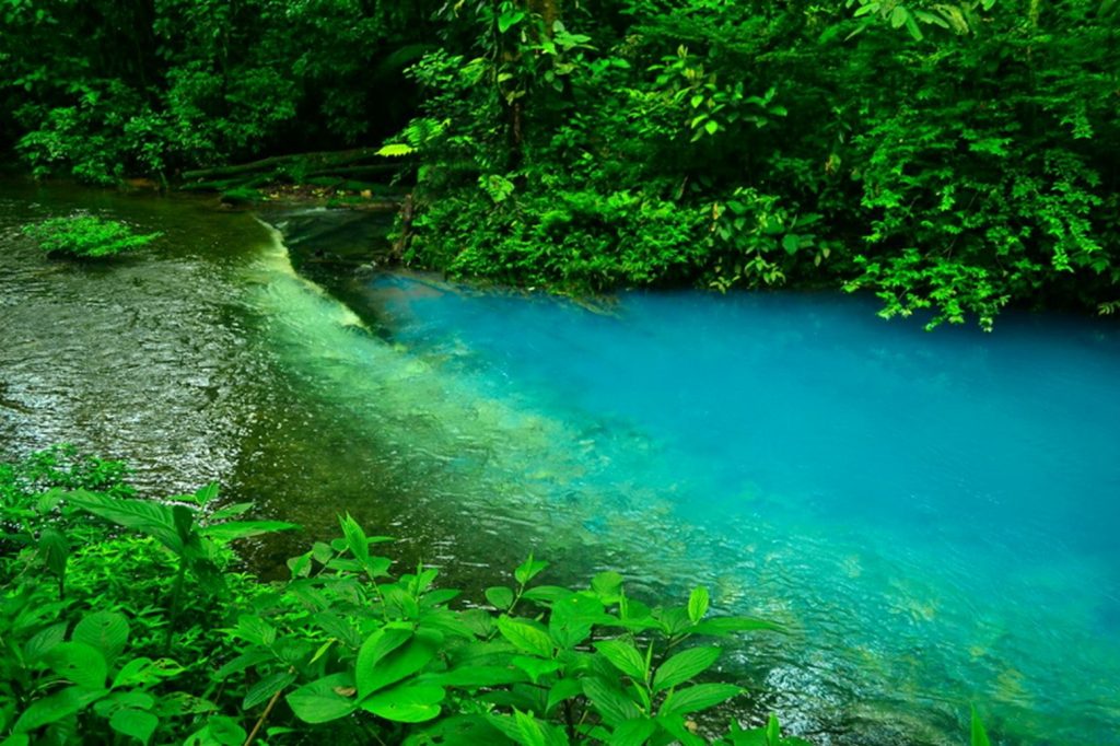 RIO CELESTE TROPICAL RAIN FOREST HIKING TOUR