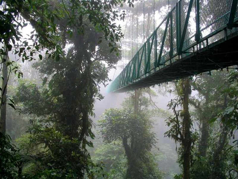 MONTEVERDE CLOUD FOREST… ONE DESTINATION, THREE OPTIONS