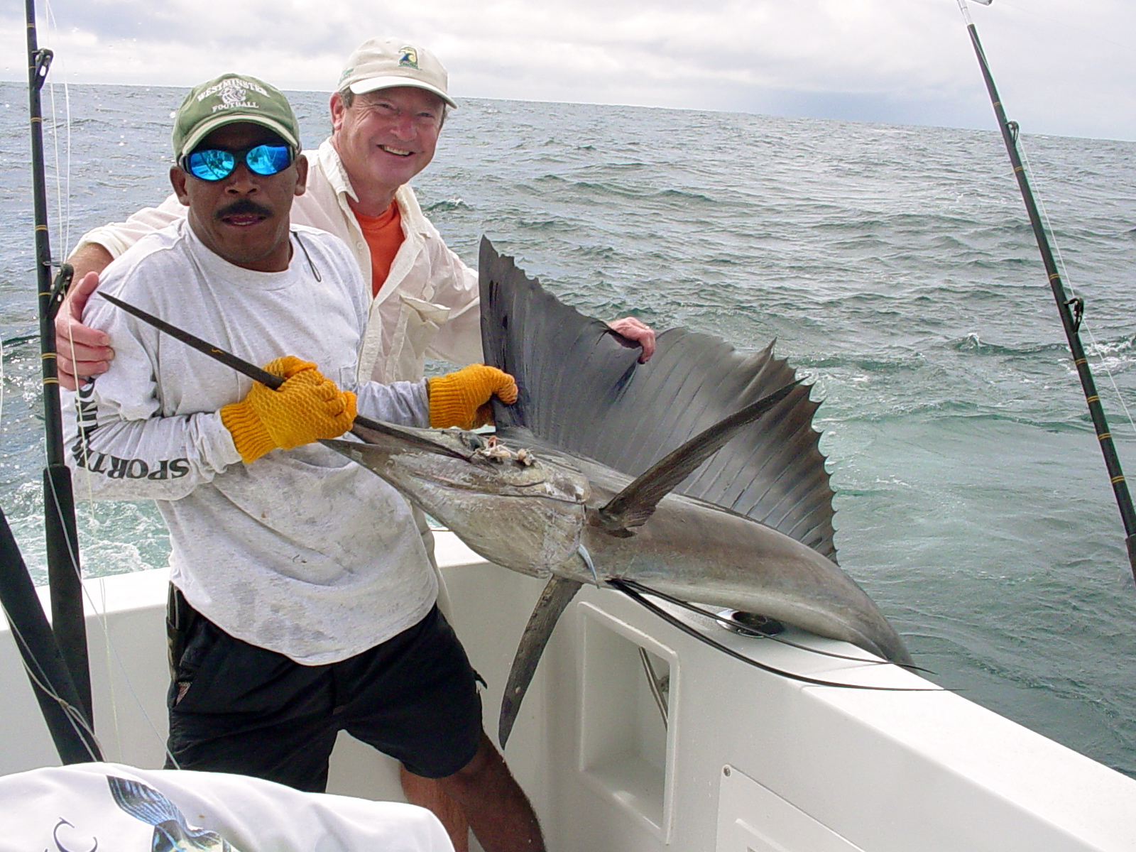 sailfish in costa rica