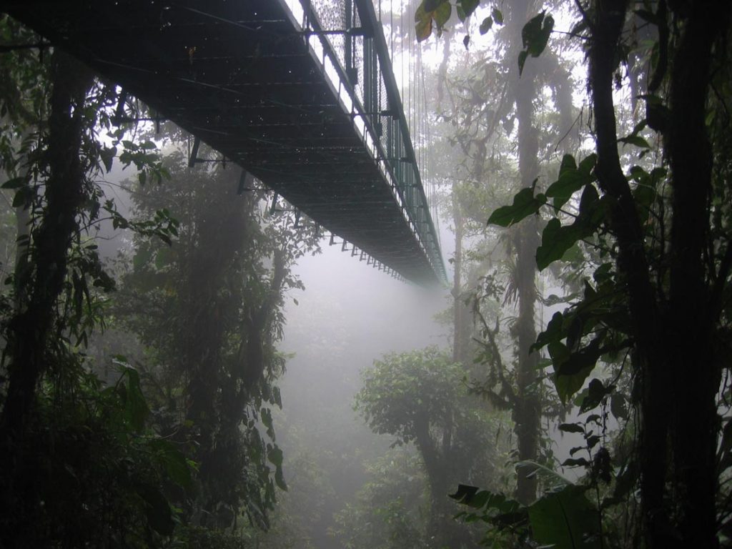 MONTEVERDE CLOUD FOREST… ONE DESTINATION, THREE OPTIONS