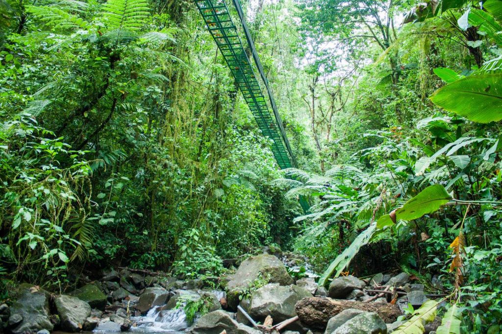 ARENAL VOLCANO & HOT SPRINGS