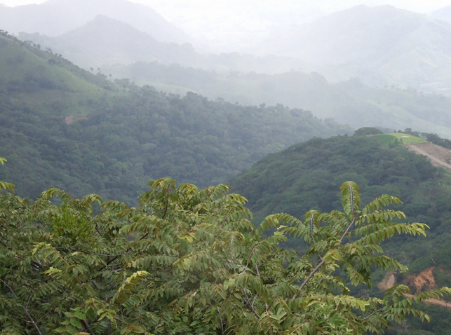 MONTEVERDE CLOUD FOREST… ONE DESTINATION, THREE OPTIONS